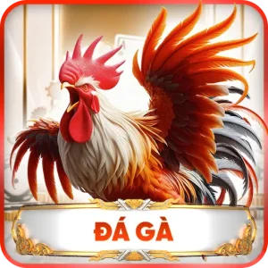 Đá Gà 188M – Trận Đấu Đẳng Cấp Dành Cho Mọi Sư Kê